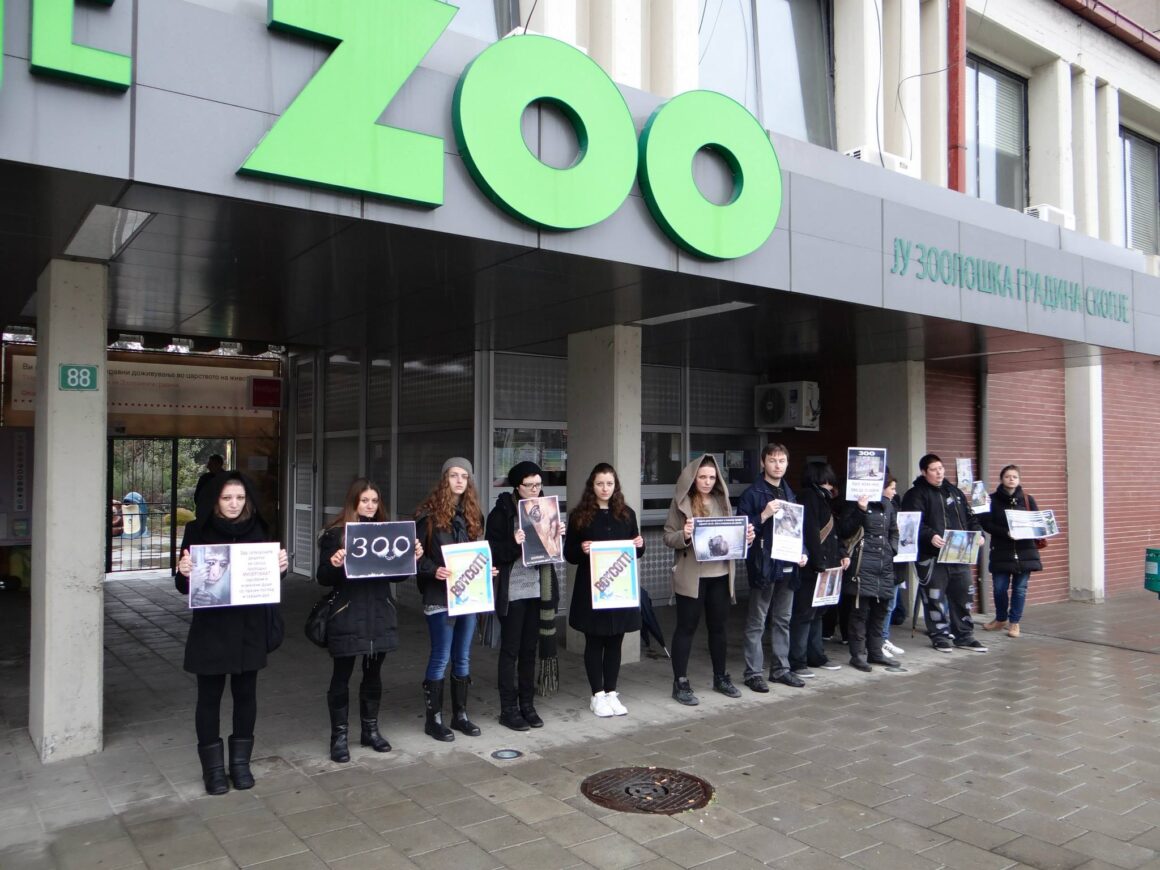 Бојкот на скопската зоолошка / Boycott Skopje Zoo